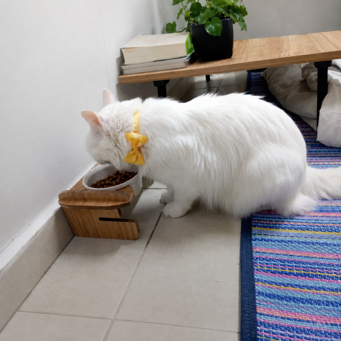 Havsız ürününü kullanan evcil dost
