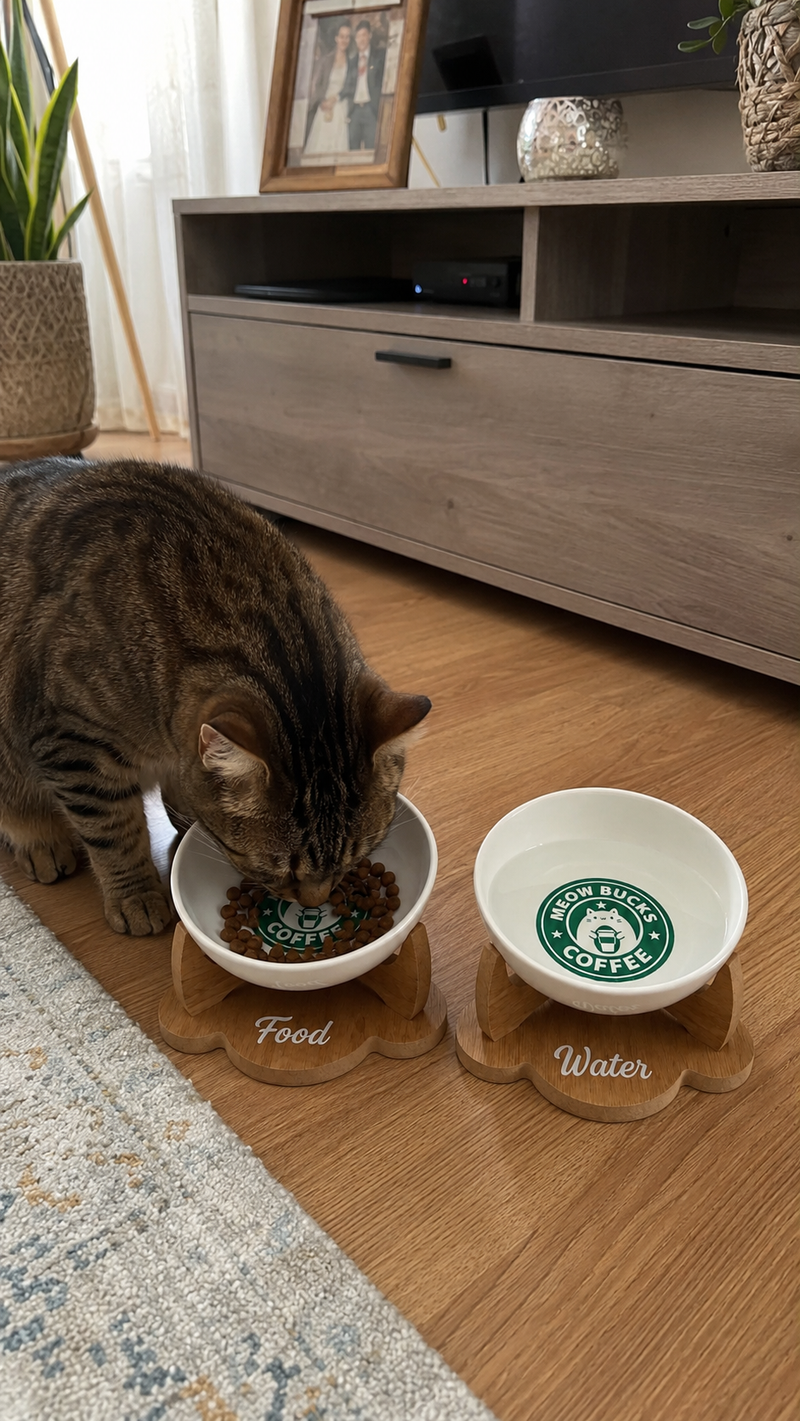 Havsız Meowbucks İkili Seramik Set kullanım görünümü.