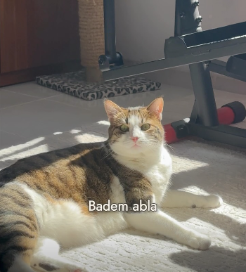 Badem abla içeriği