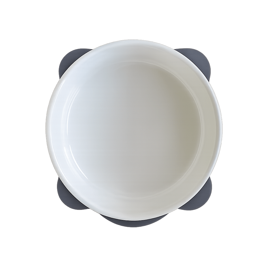 Havsız Kaydırmaz Tabanlı Food Tasarımlı Mama Kabı 400 ML