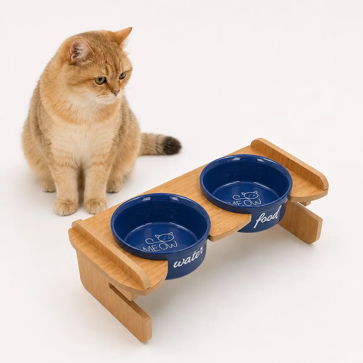 Kedi yanında Havsız Meow Kobalt Mavisi ikili seramik set