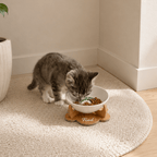 Havsız Meowbucks Kaydırmaz Tabanlı Food Tasarımlı Mama Kabı - Seramik
