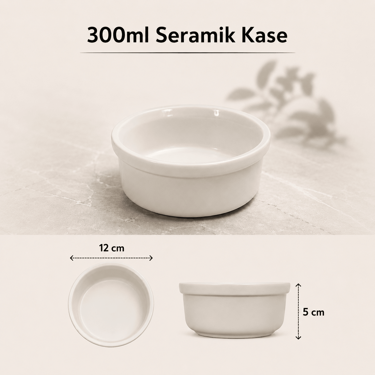 seramik mama ve su kasesi