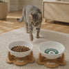 Havsız Meowbucks İkili Mama ve Su Kabı Seti ürün tanıtım videosu