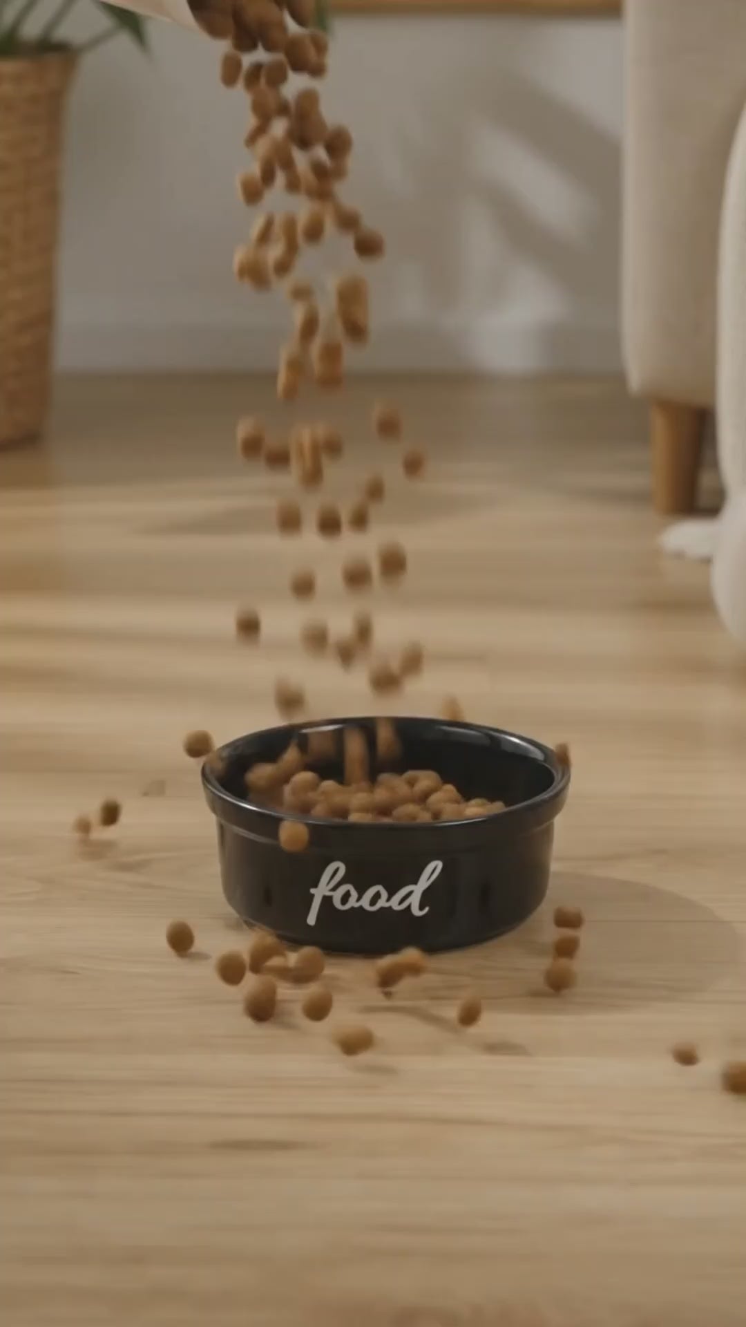 Havsız Ayarlanabilir Meow Tasarımlı Seramik Besleme Standı ürün tanıtım videosu